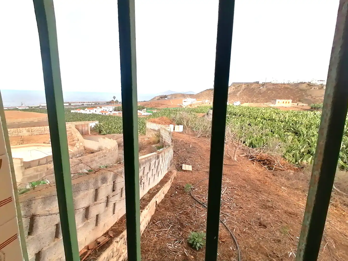 Casa o xalet de lloguer en Arucas amb Jardí privat, Terrassa i Traster