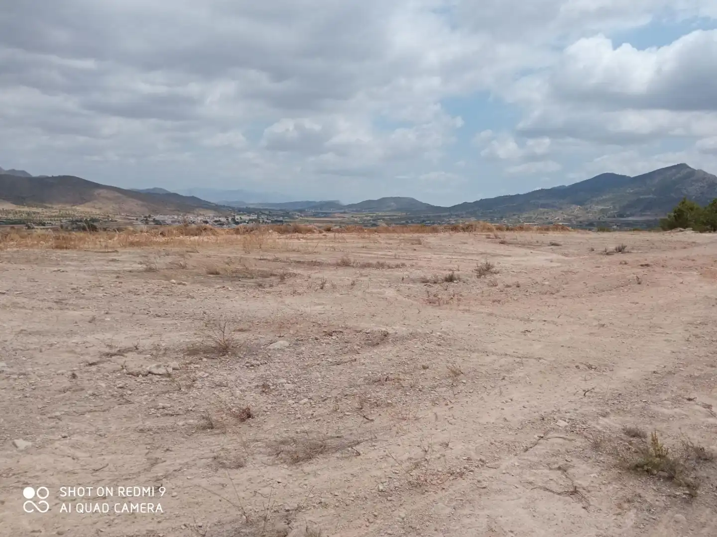 Terreno rustico in vendita a Hondón de los Frailes, imagen 4