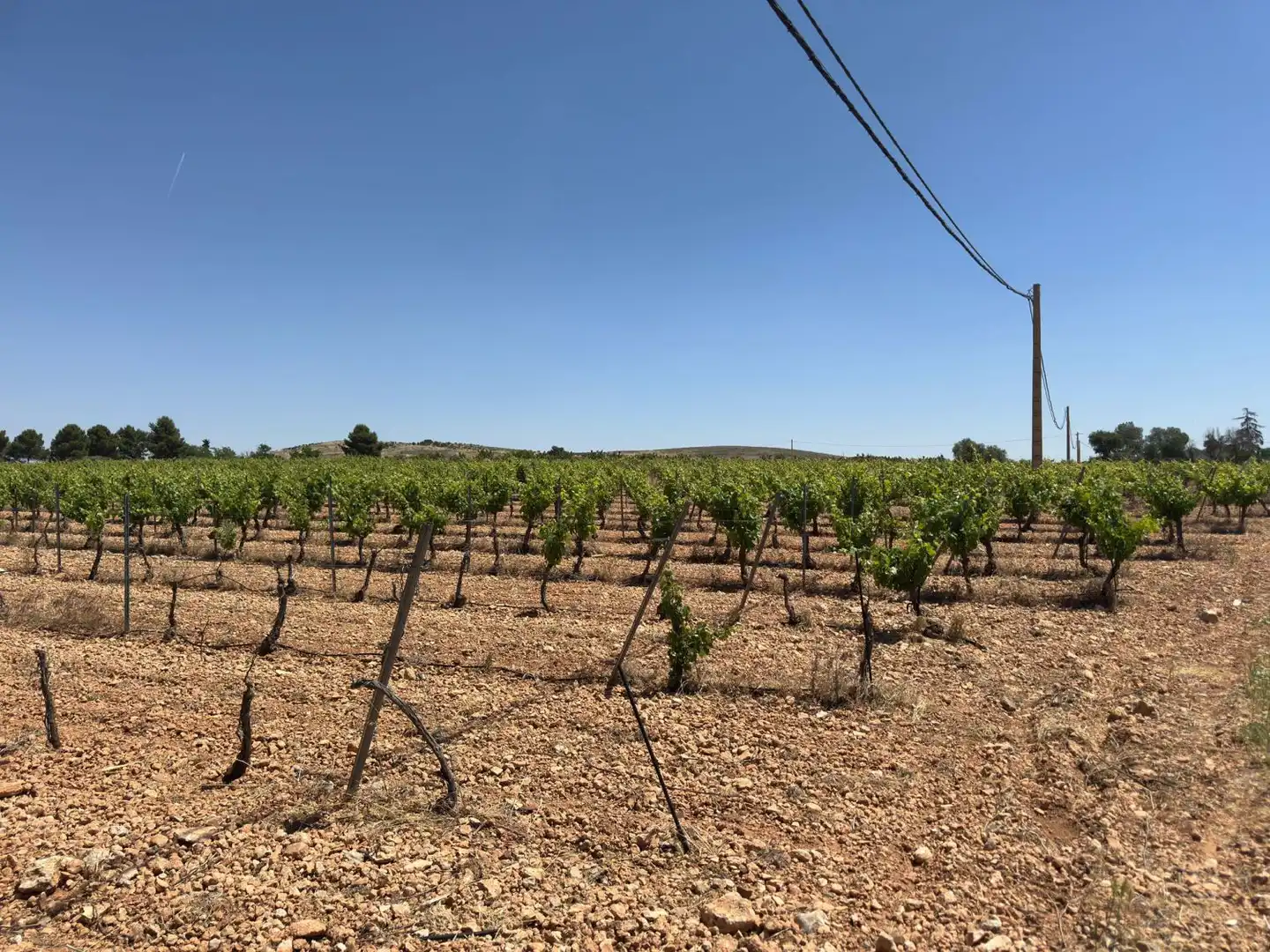 Finca rústica en venta en Valdepeñas con Piscina