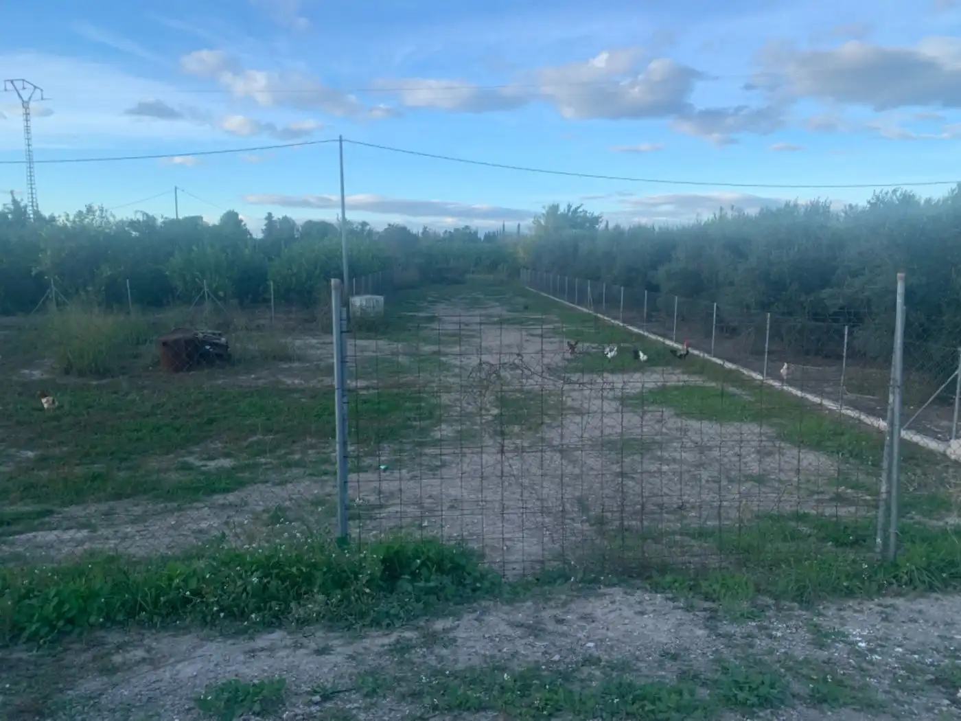 Residential land for sale in Centro, imagen 4