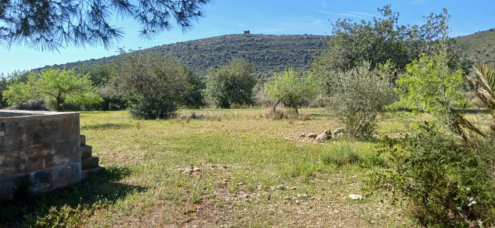 Rural land for sale in Camí de Soterranya