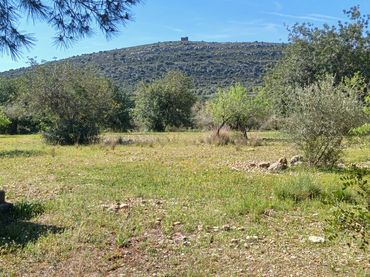Terreno rustico in vendita a Camí de Soterranya