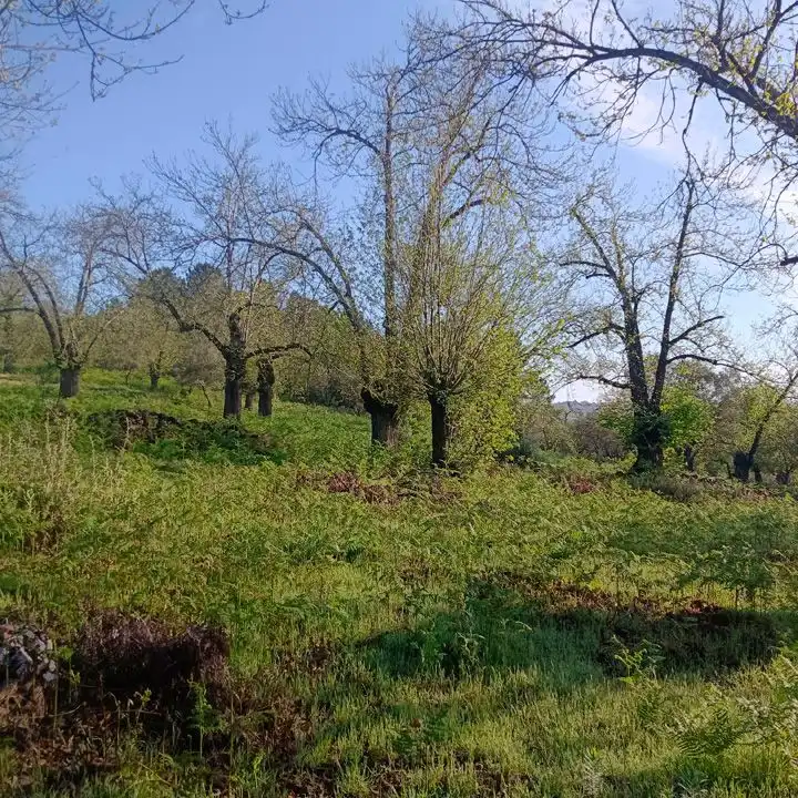 Casa rústica en venda a Aracena, imagen 15