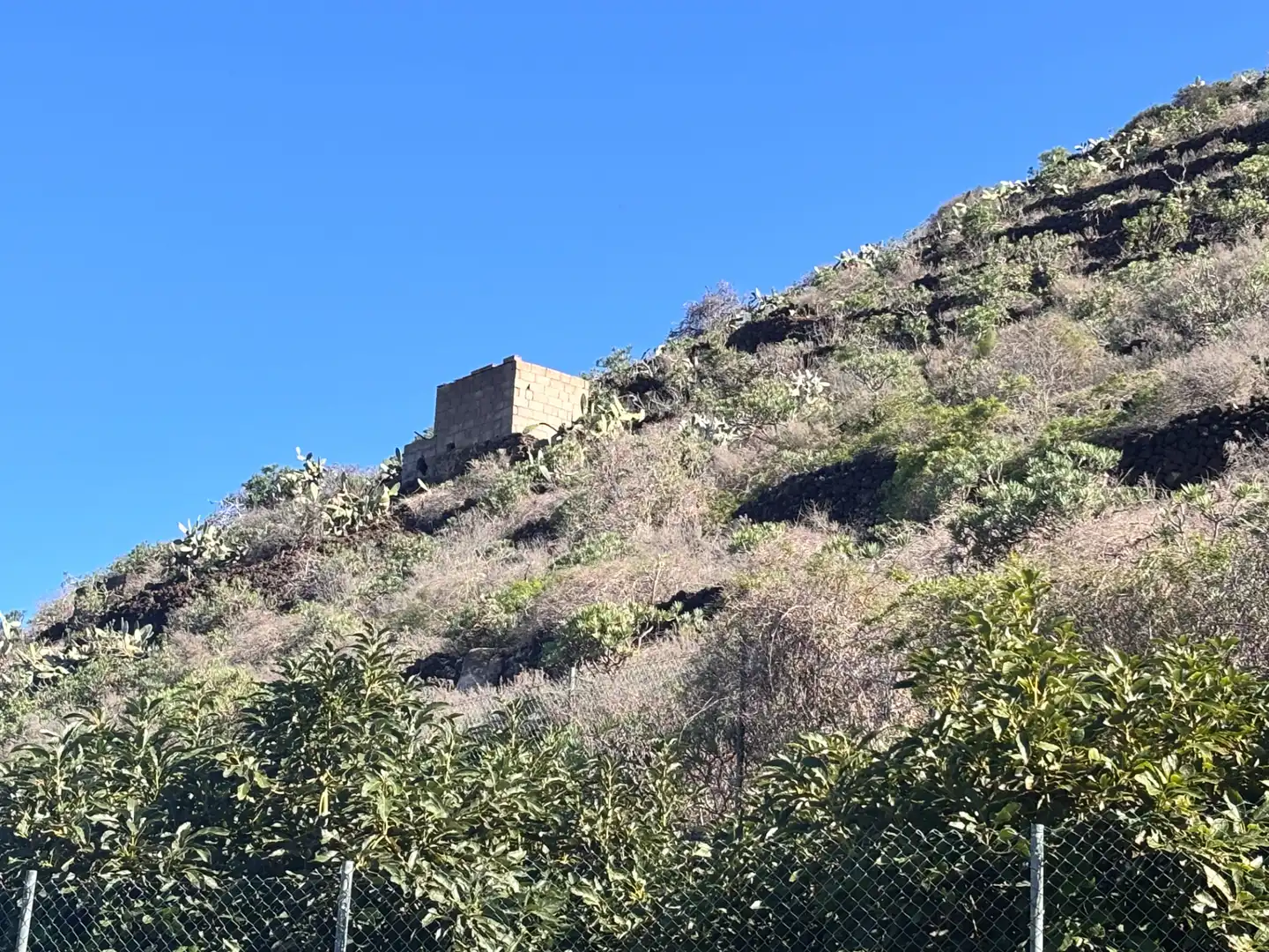 Terreno rustico in vendita a Camino de San Diego, imagen 4