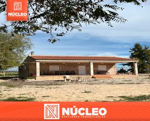 Exterior view of Land for sale in Daya Vieja