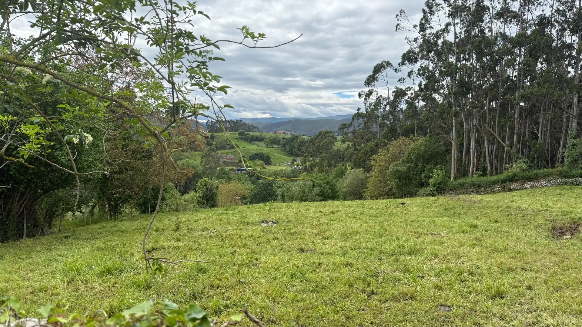 Vista exterior de Terreno en venta en Valdáliga