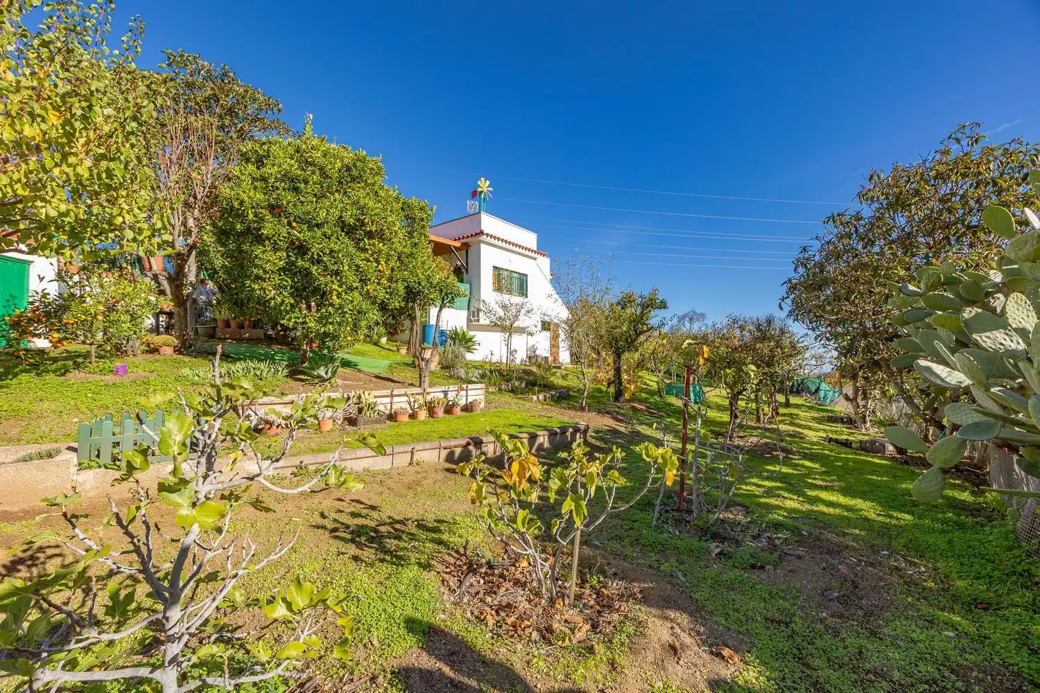 Jardí de Casa o xalet en venda en Vega de San Mateo amb Jardí privat i Terrassa