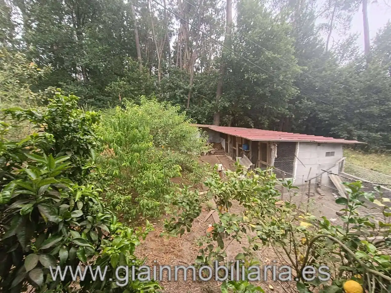 Casa con jardín en venta en Calle Fornelos, imagen 16