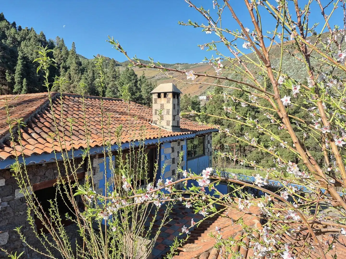 Xalet amb jardí en venda a Vega de San Mateo, imagen 26