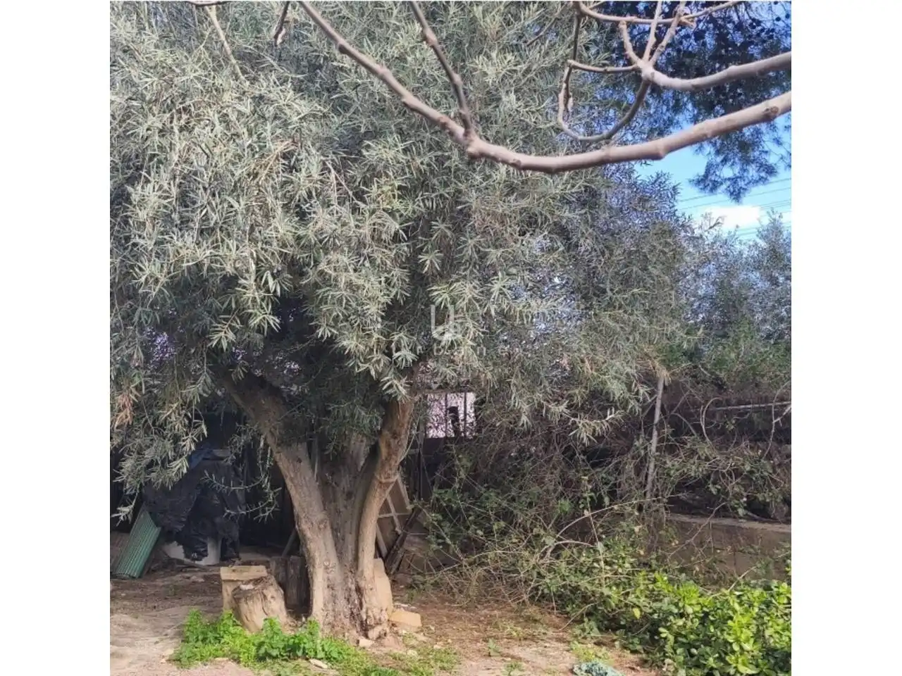 Finca rústica en venta en Murcia con Terraza