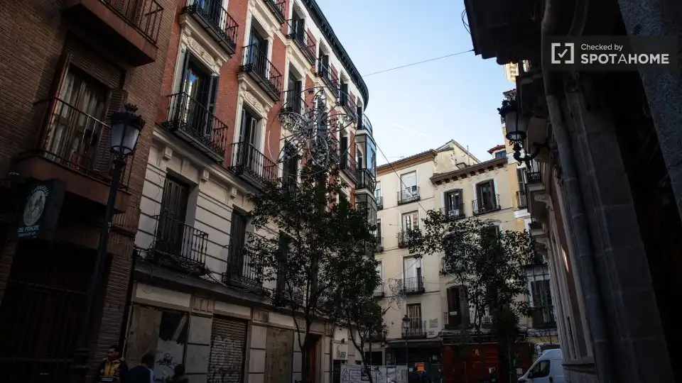 Appartamento con terrazza in affitto a Centro, imagen 17