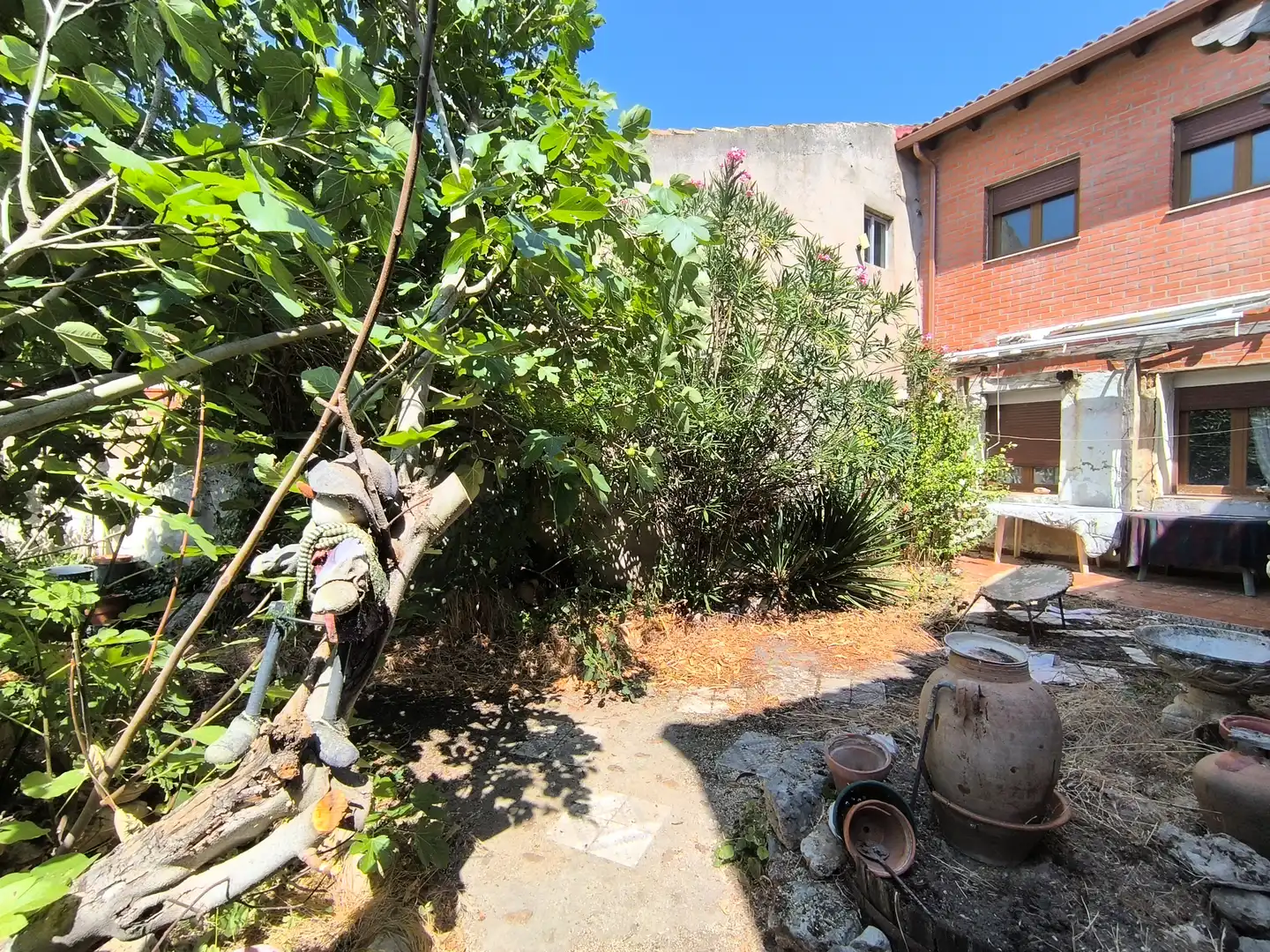 Jardín de Casa o chalet en venta en Pedraza de Campos con Calefacción, Jardín privado y Terraza