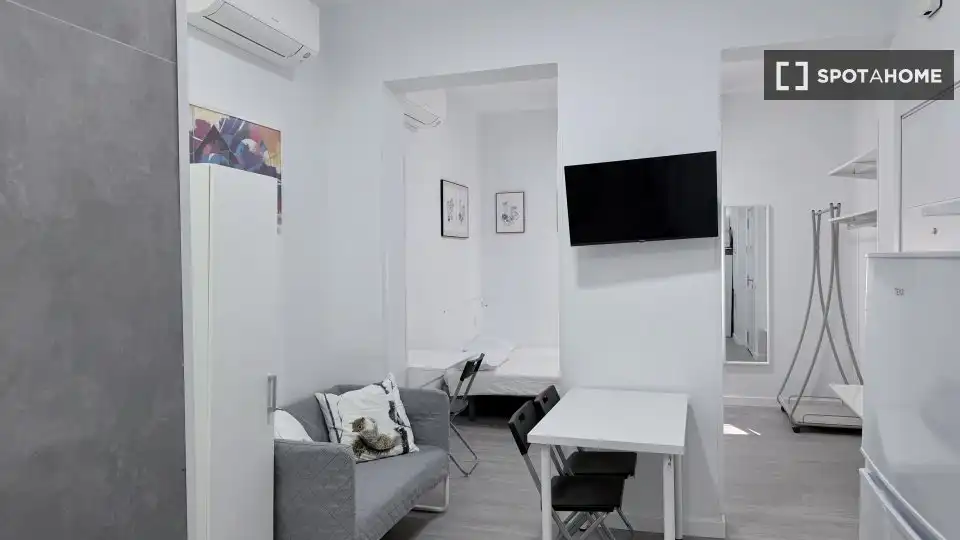 Living room of Flat for rent in Madrid  with Air Conditioner, Heating and Furnished