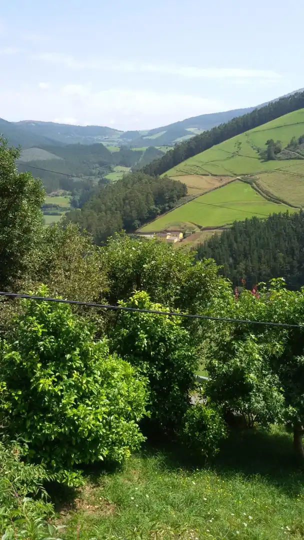 Vista exterior de Finca rústica en venda en Vegadeo amb Calefacció i Balcó