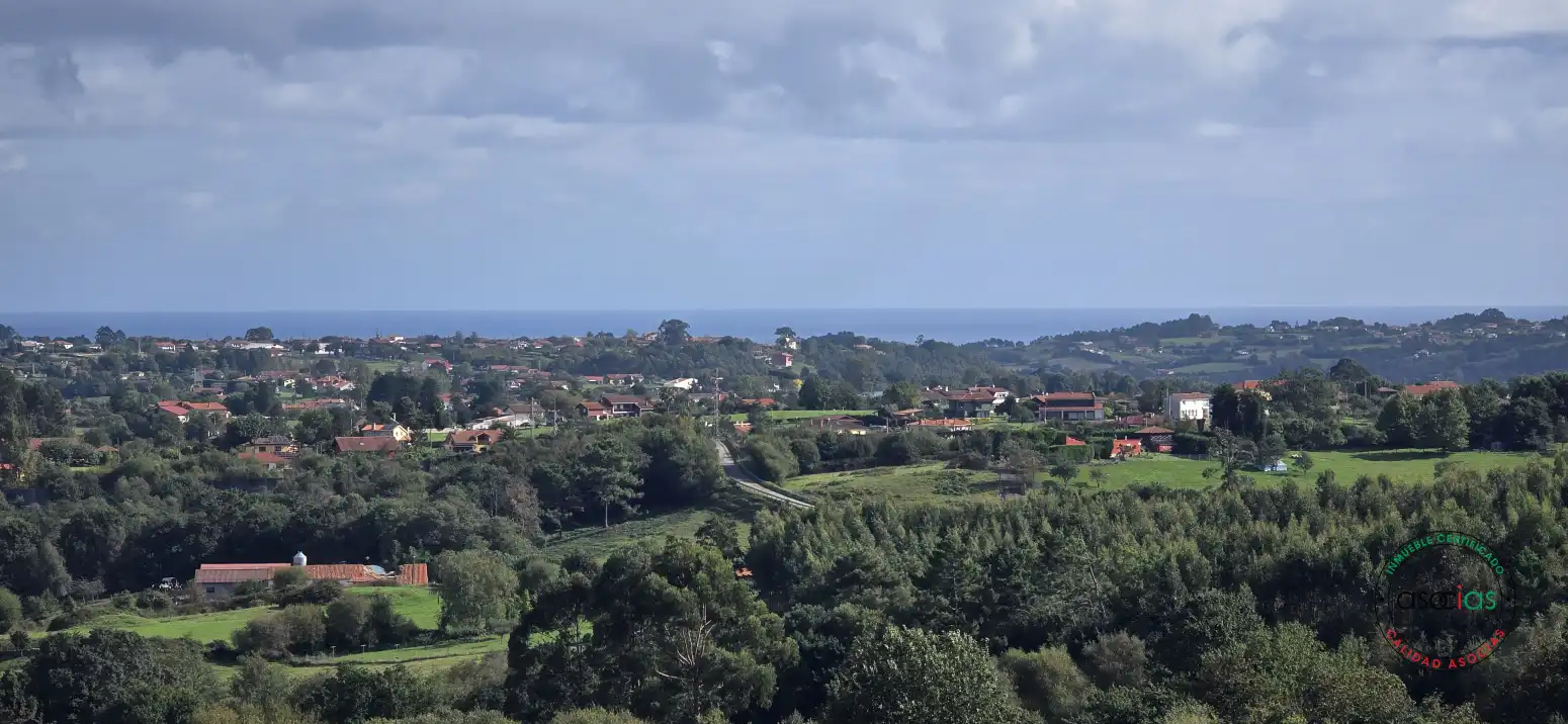 Terreny residencial en venda a Peón - Coto de la Castañera, Curviellu S/N, imagen 14