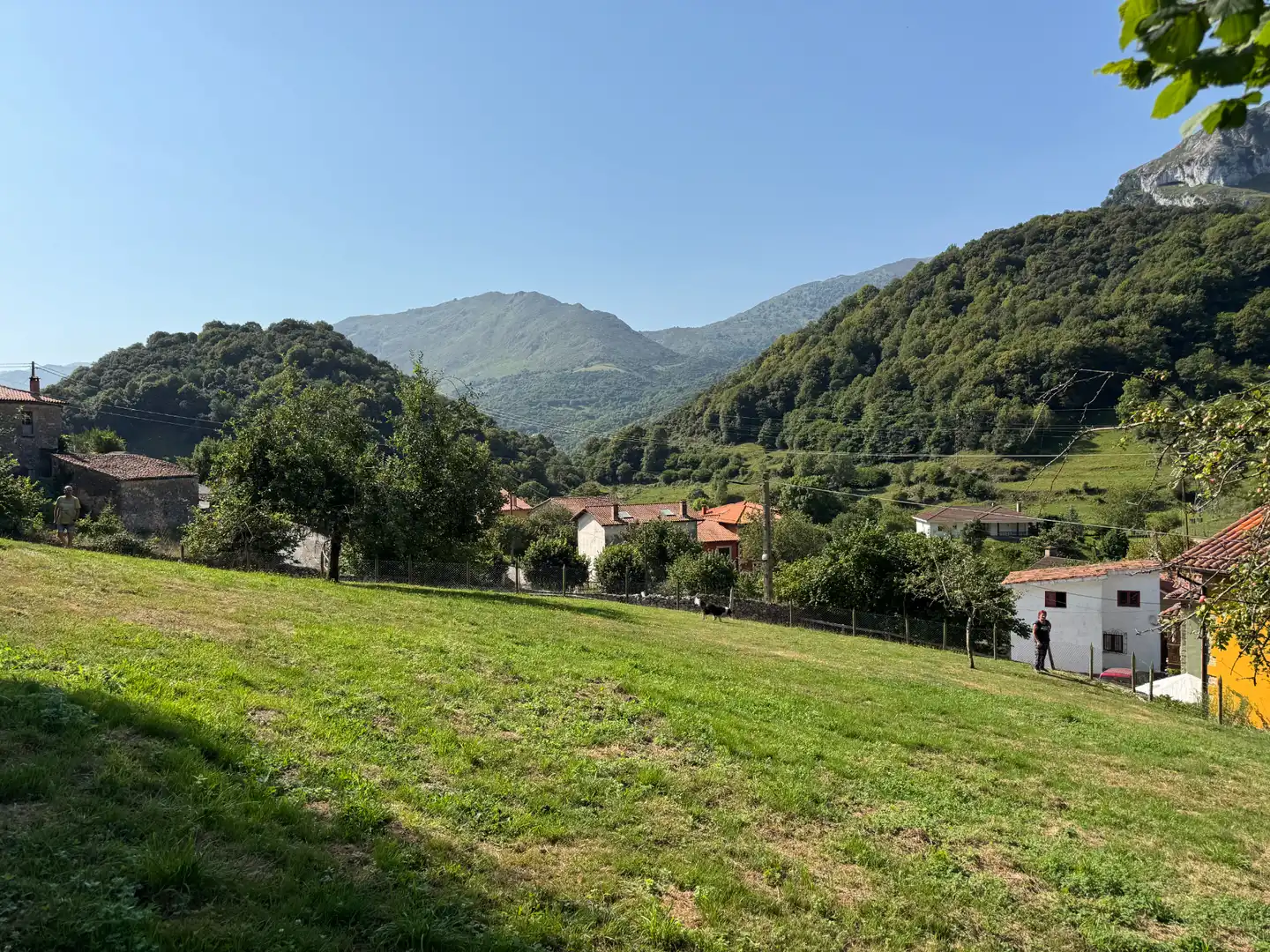 Vista exterior de Residencial en venta en Peñamellera Alta