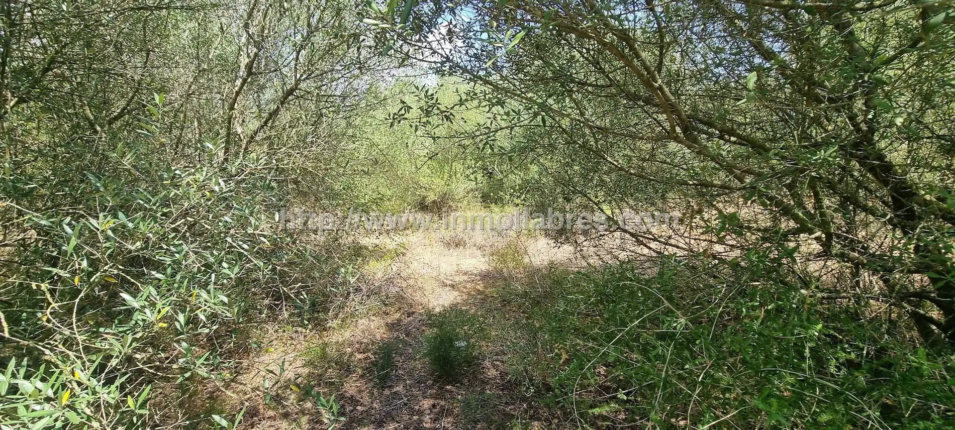 Terrenys i solars en venda a Cristo Rey - Parque Europa, imagen 2