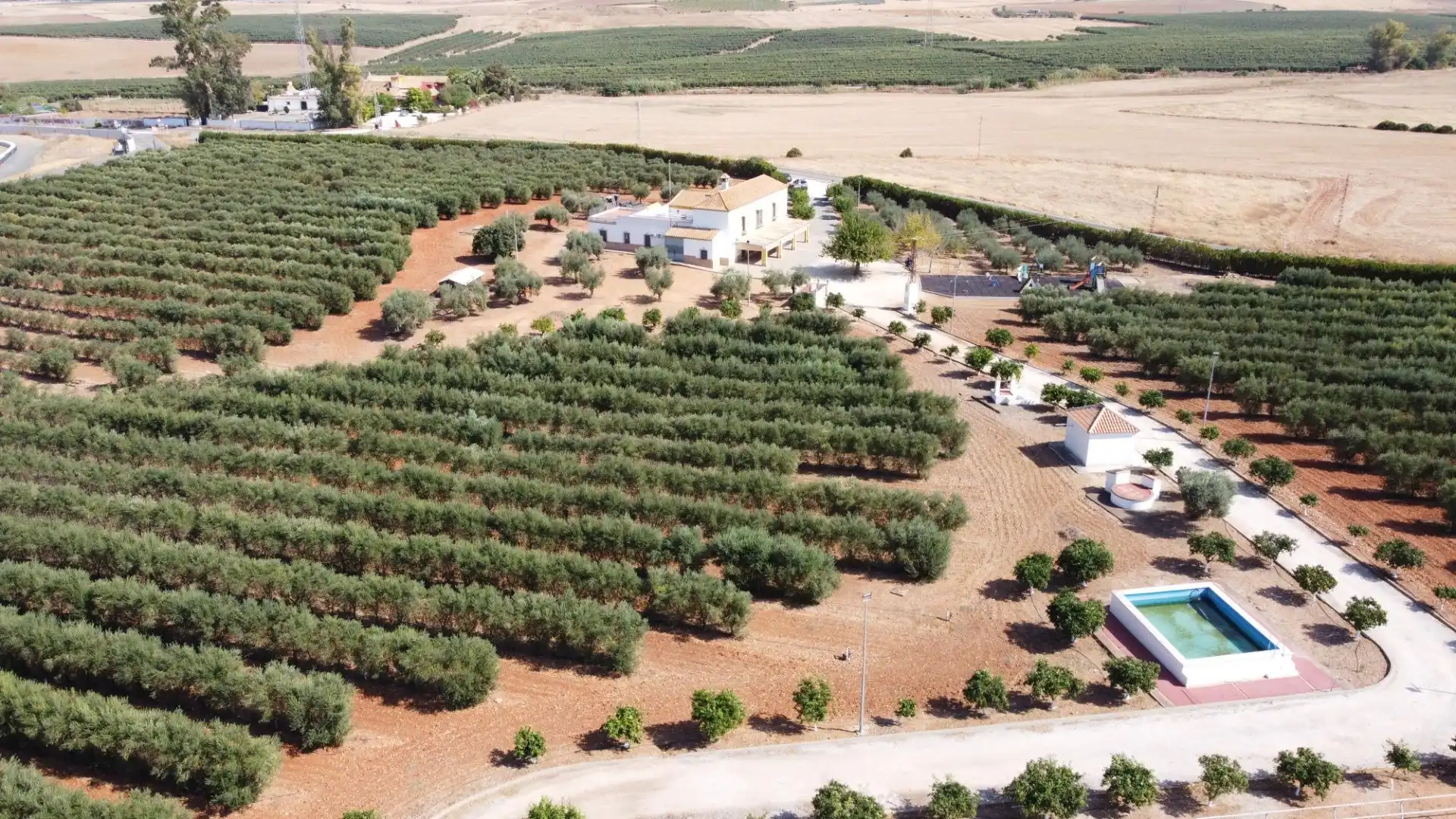 Jardín de Finca rústica en venta en Carmona con Calefacción, Jardín privado y Terraza