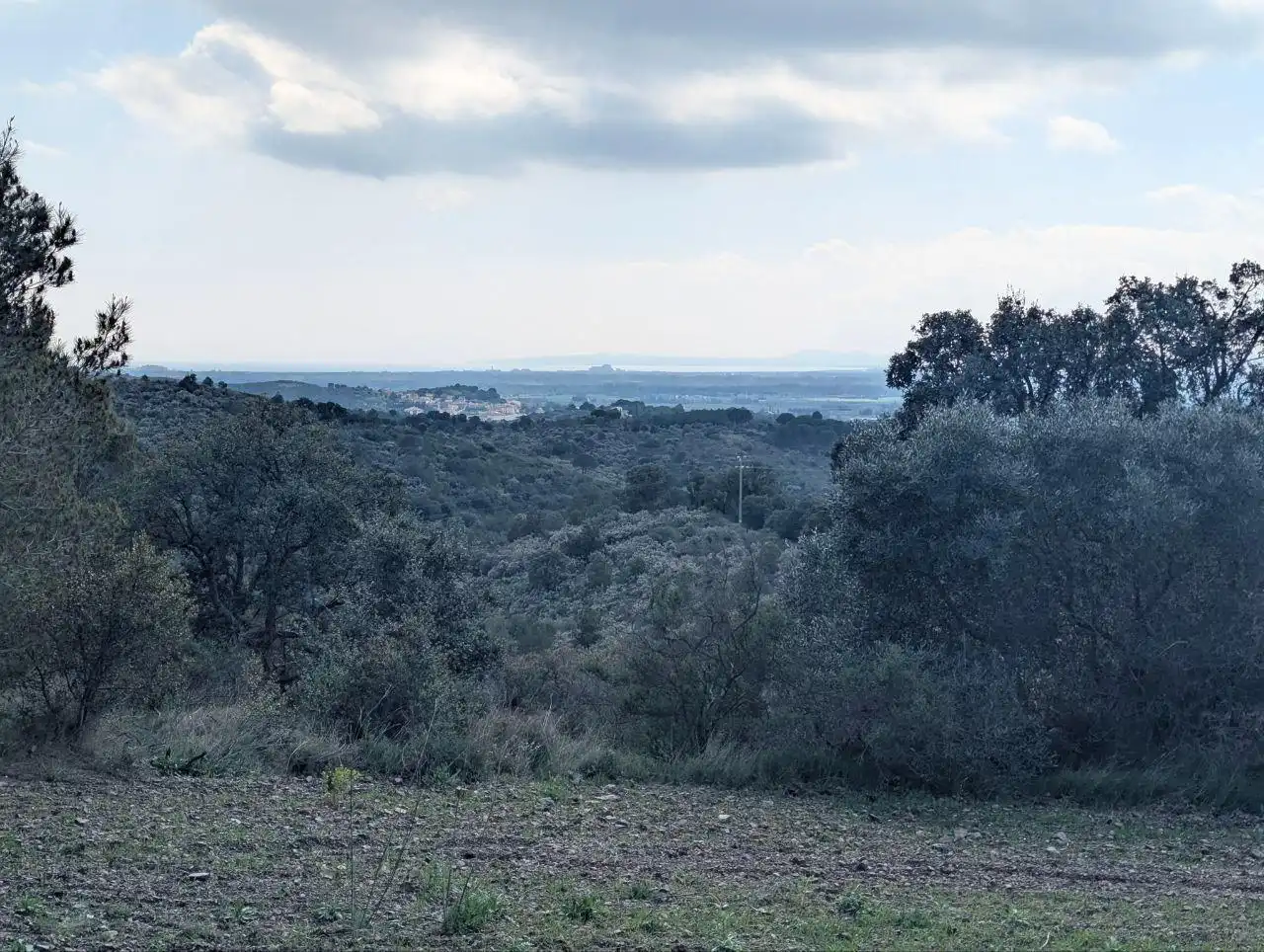 Rural land for sale in EL MON PERDUT, imagen 2