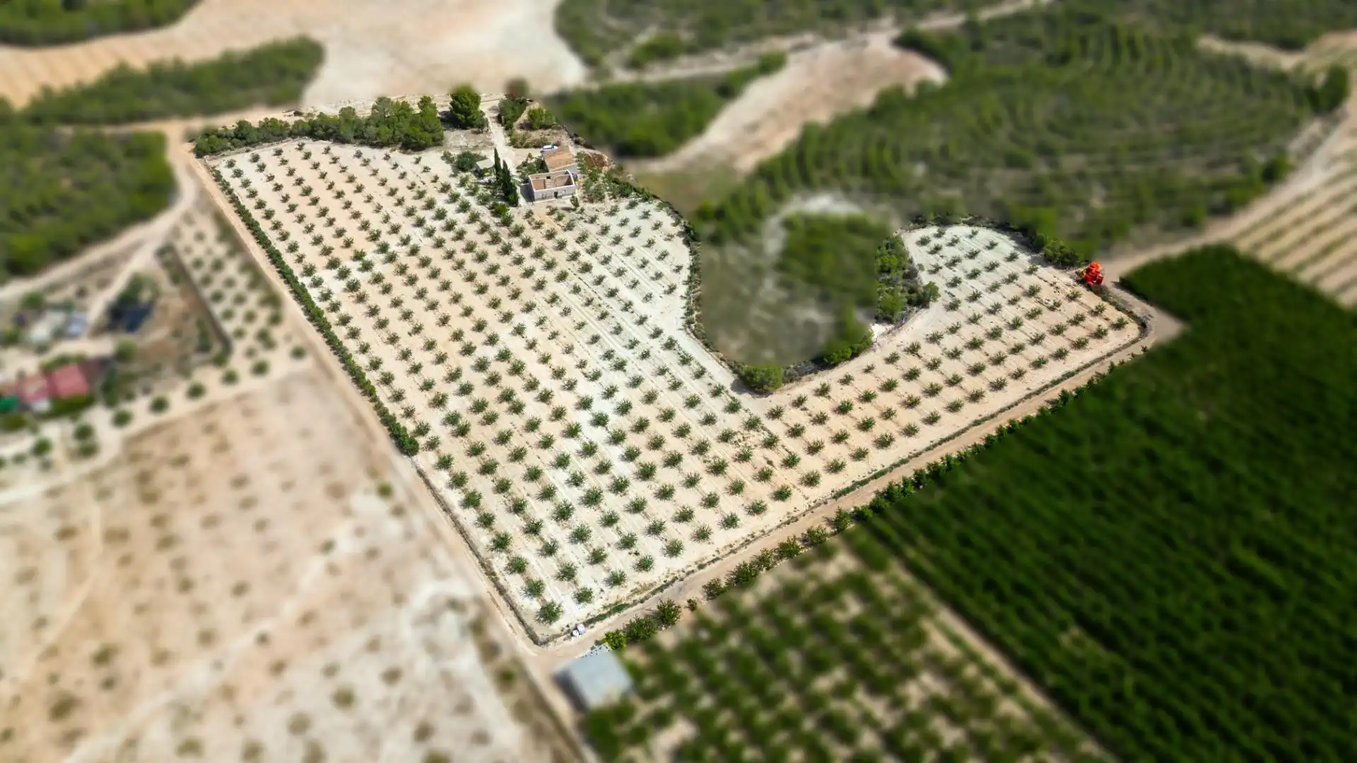 Casa o xalet en venda en Cieza