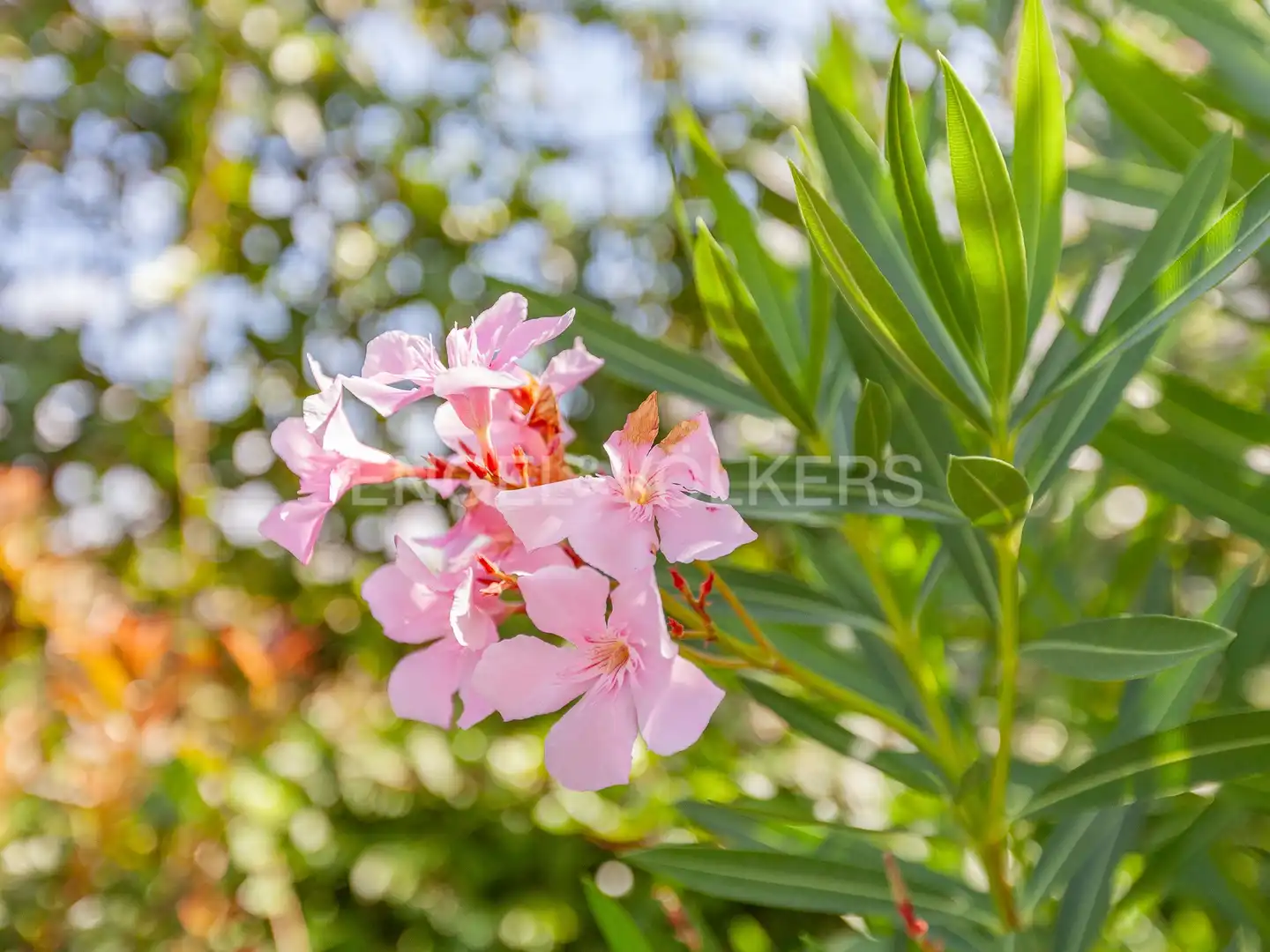 Garten von Wohnungen zur Miete in Sitges mit Klimaanlage, Heizung und Privatgarten