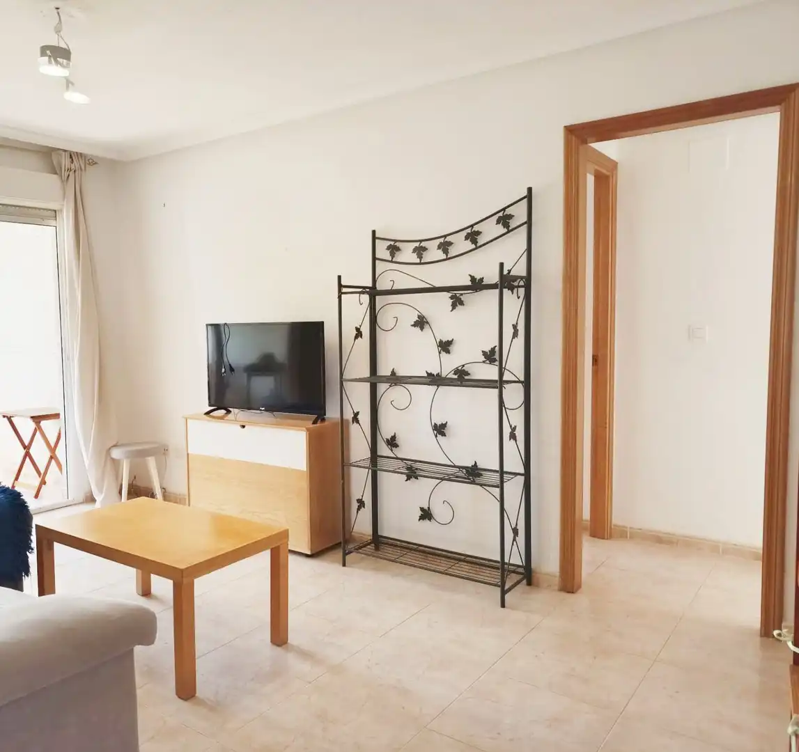 Sala de estar de Piso en venta en Alicante / Alacant con Aire acondicionado, Calefacción y Terraza