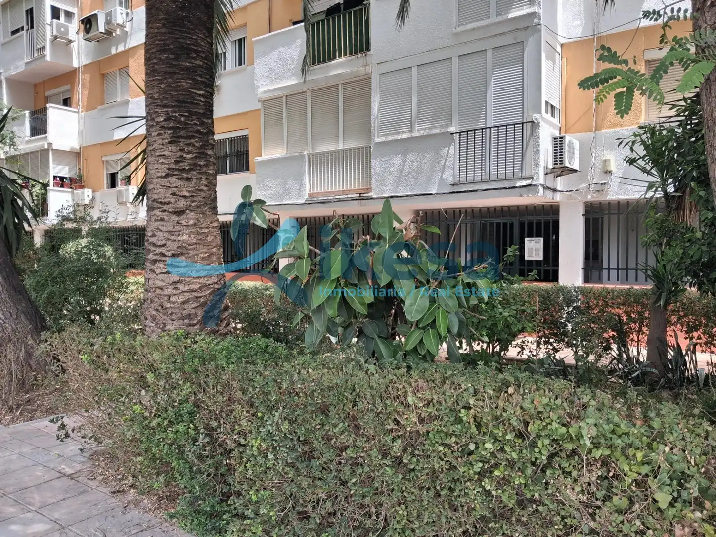 Maison à vendre à Bellavista - La Palmera