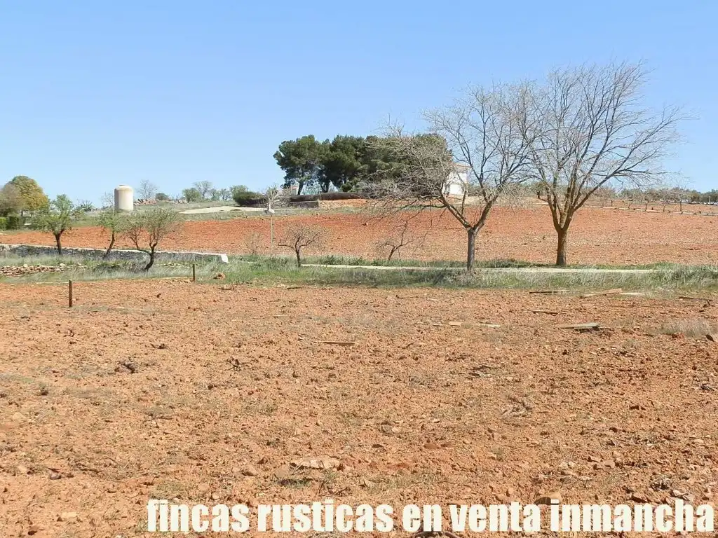 Rural land for sale in Valdepeñas, imagen 28