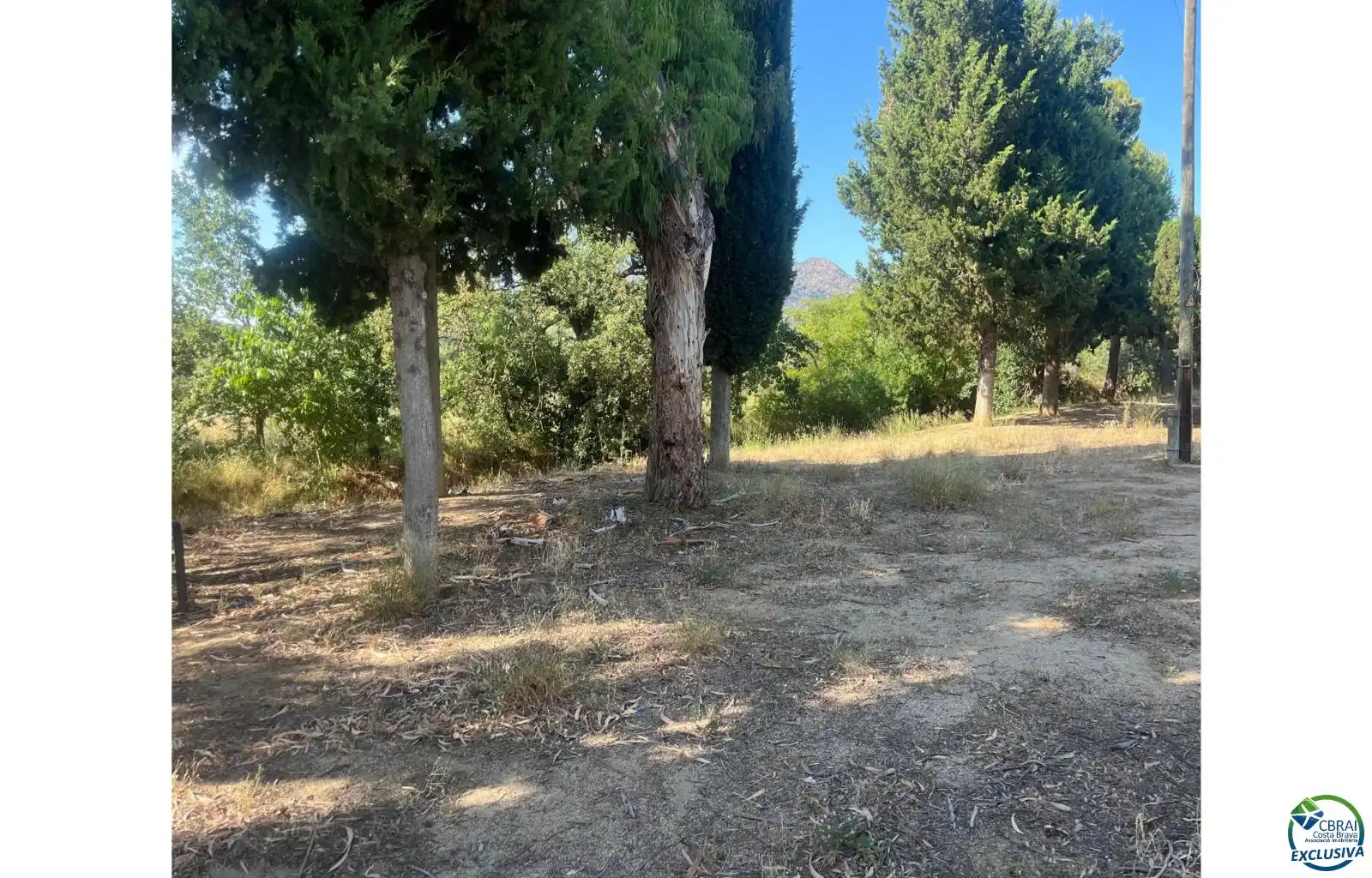 Casa o xalet en venda en Roses amb Terrassa i Moblat