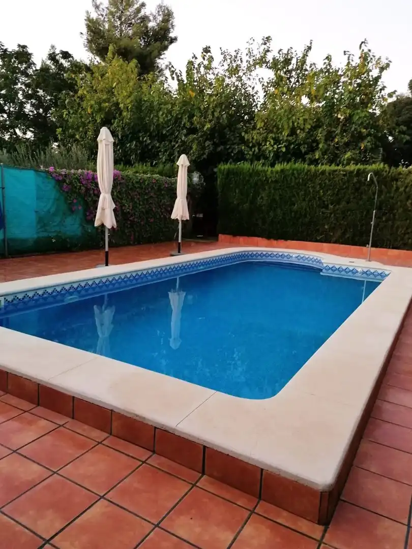 Terreni e lotti in vendita a Carmona