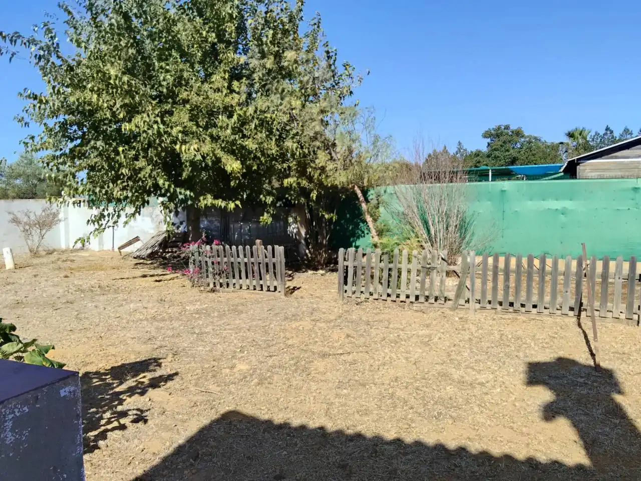 Villa con piscina in vendita a Calle Zorzolena, imagen 18