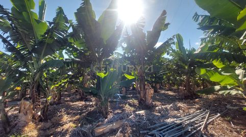 Foto 2 de Terreno en venta en Valle de Guerra, San Cristóbal de la Laguna