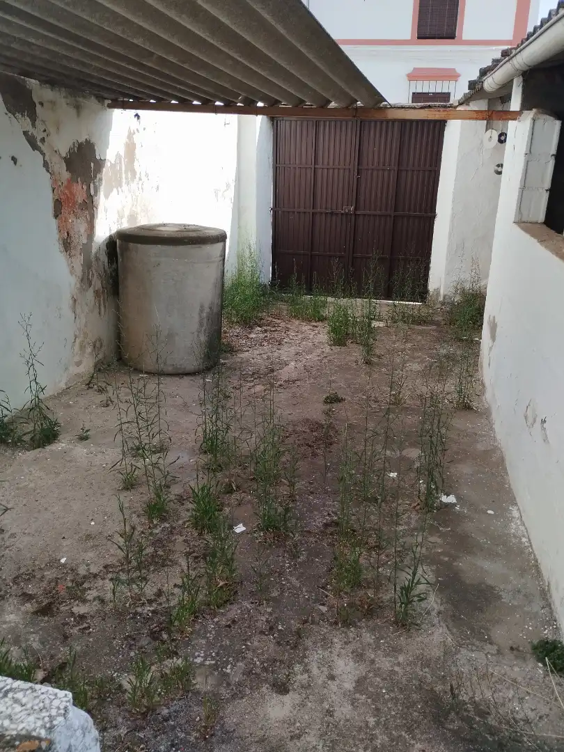 Haus zum Verkauf in Calle Piteles, imagen 18