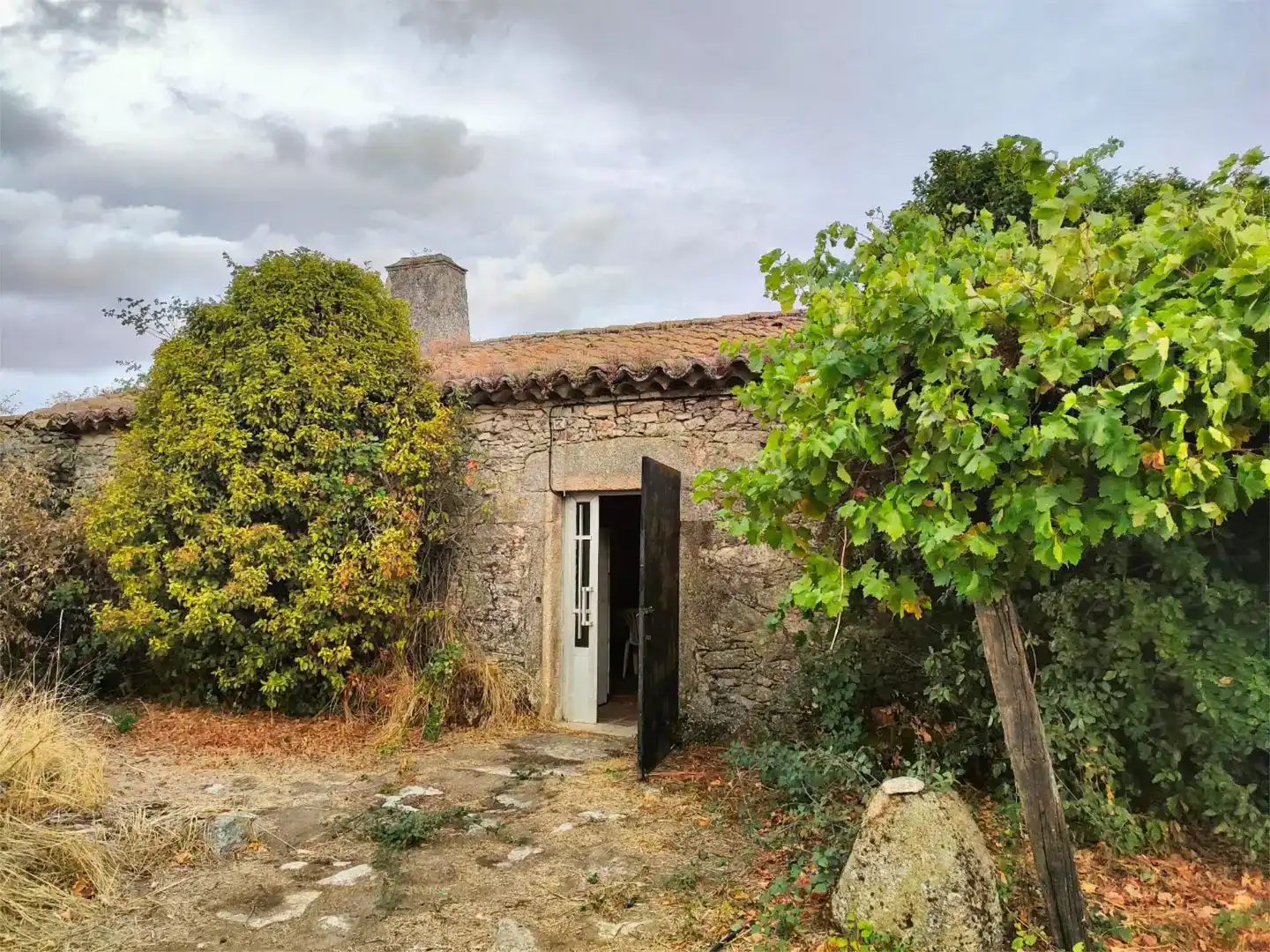 Vista exterior de Piso en venta en Doñinos de Ledesma con Jardín privado y Trastero
