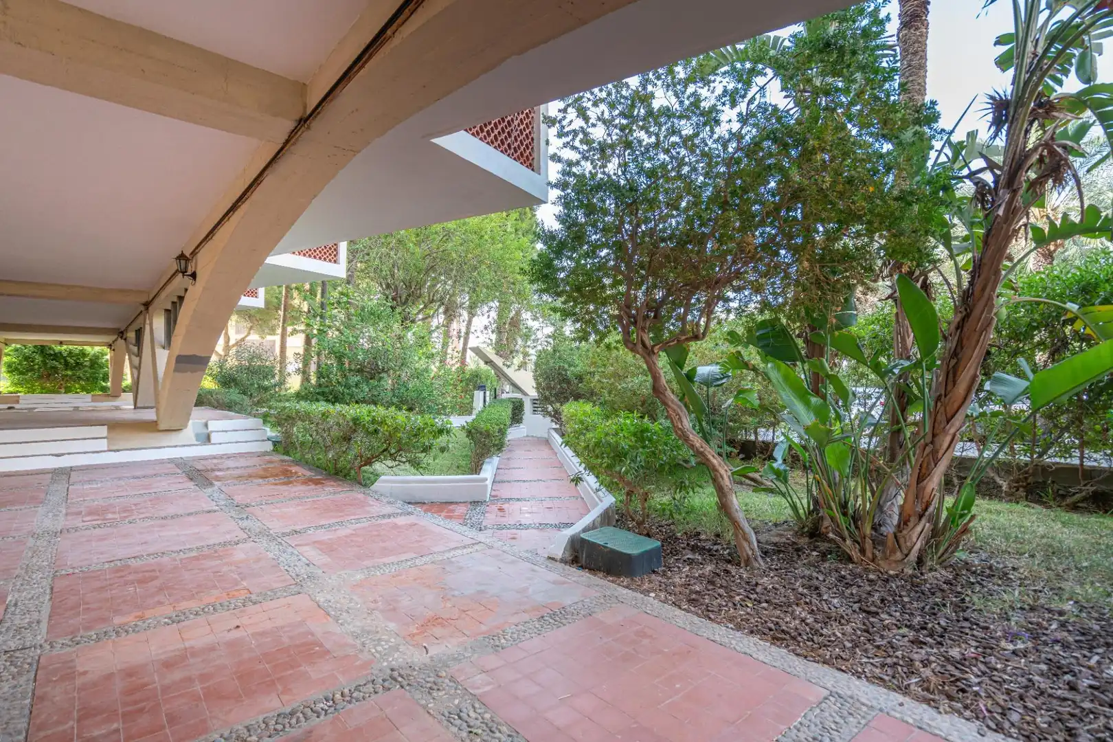 Terrace of Apartments for rent in Roquetas de Mar  with Furnished and Balcony