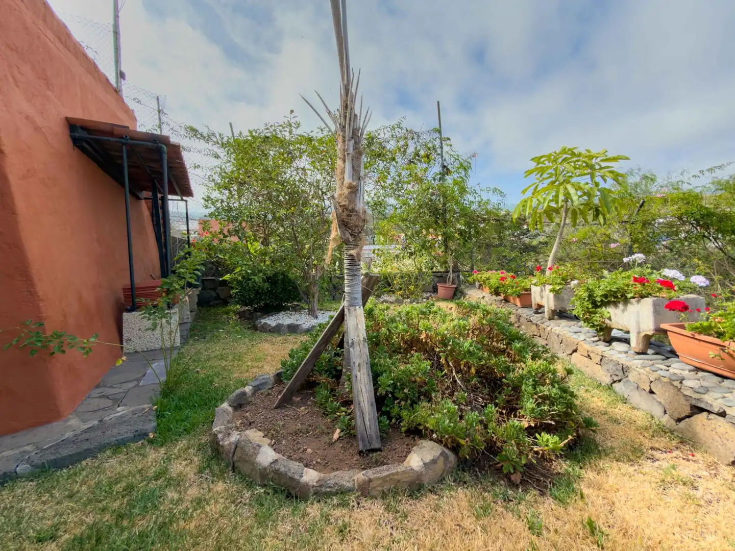 Jardí de Casa o xalet en venda en Icod de los Vinos