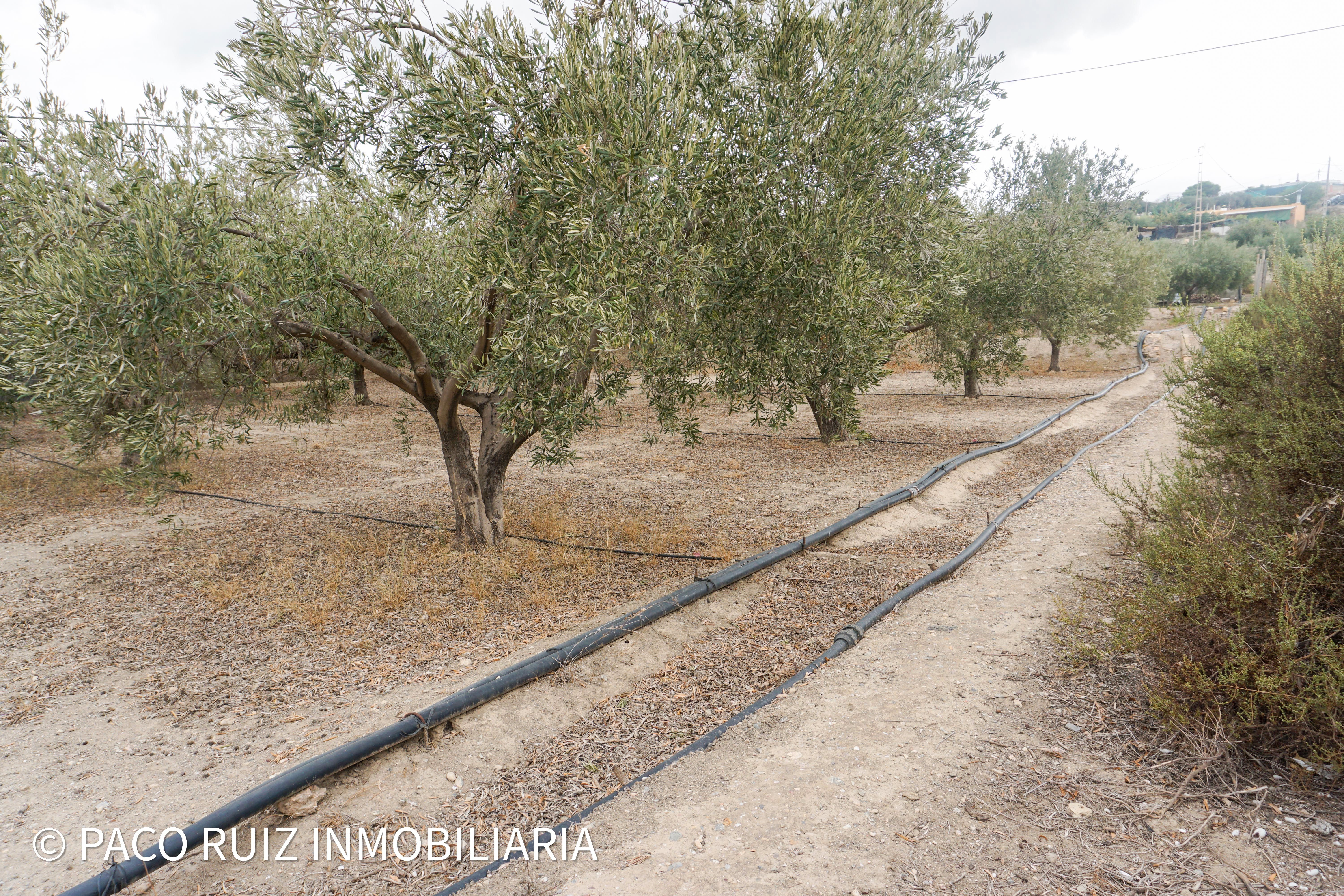 Country house zum verkauf in Camino Alejandro, Pechina