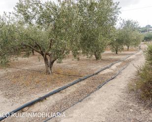 Country house for sale in Camino Alejandro, Pechina