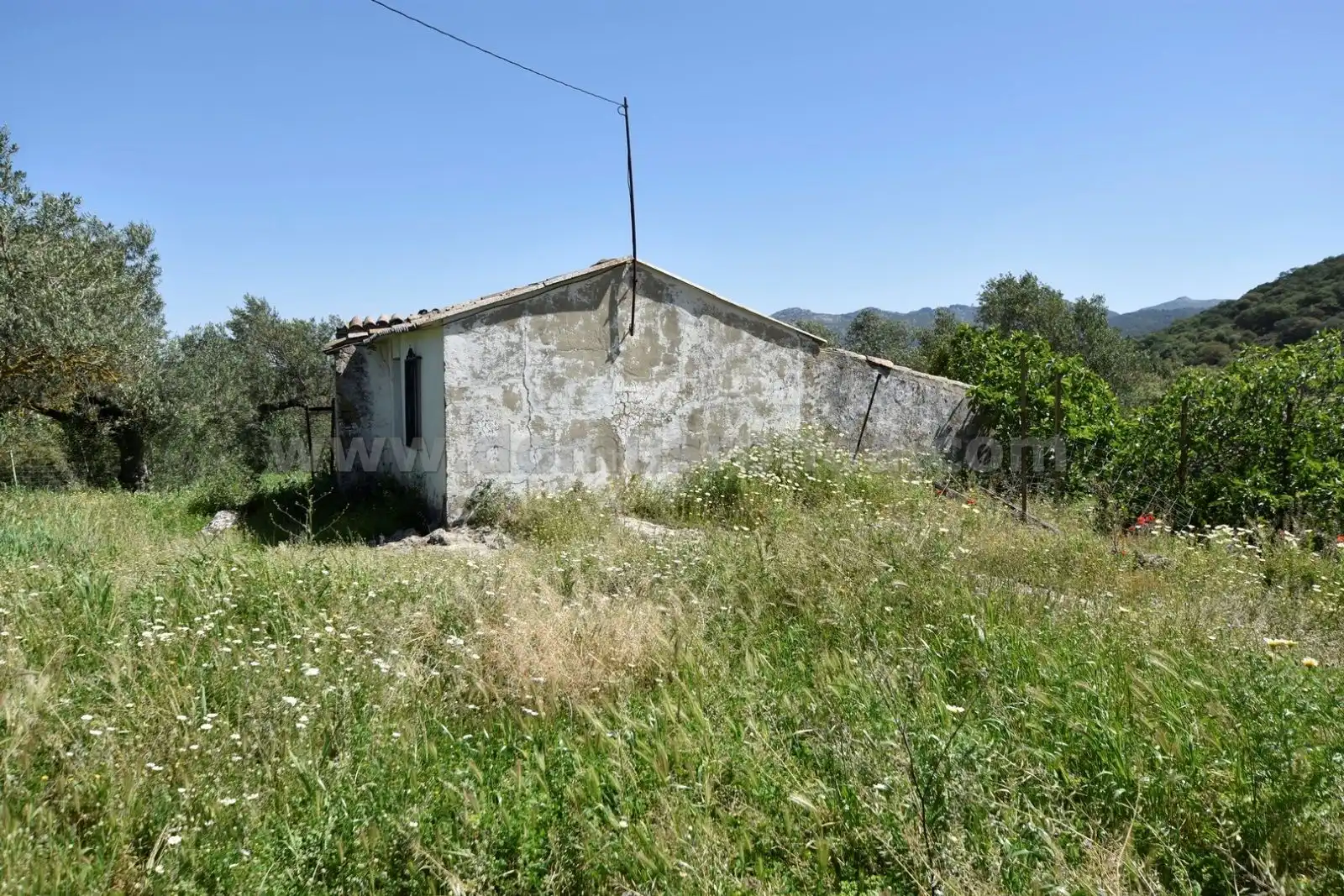 Finca rústica en venda en Ronda