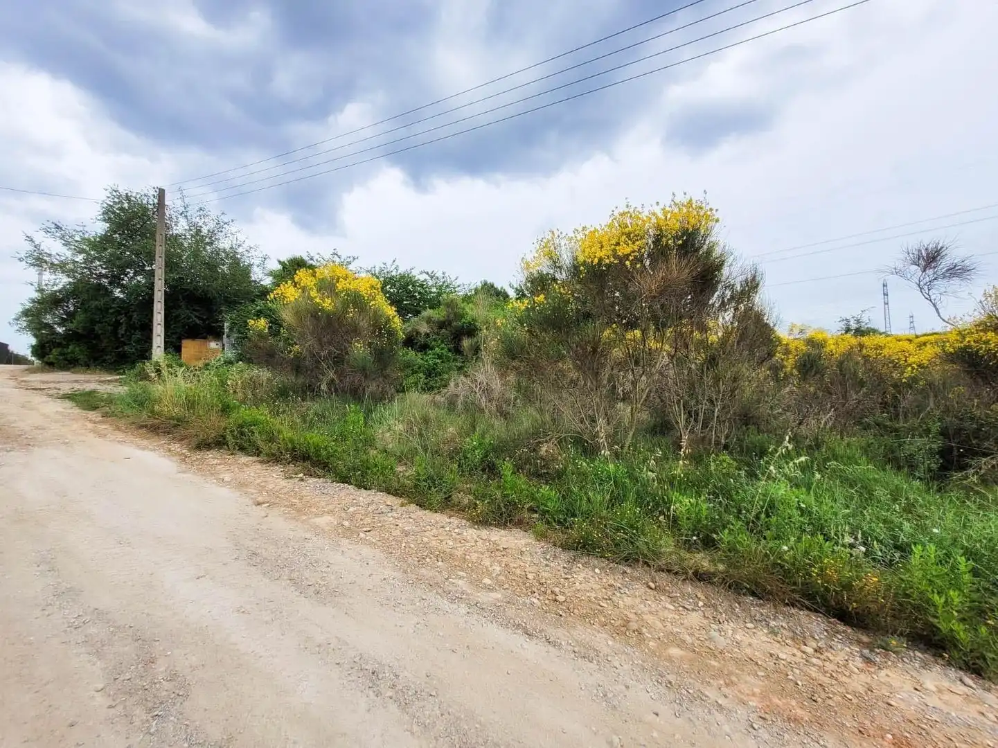 Terreno rústico en venta en Castellbisbal, imagen 6