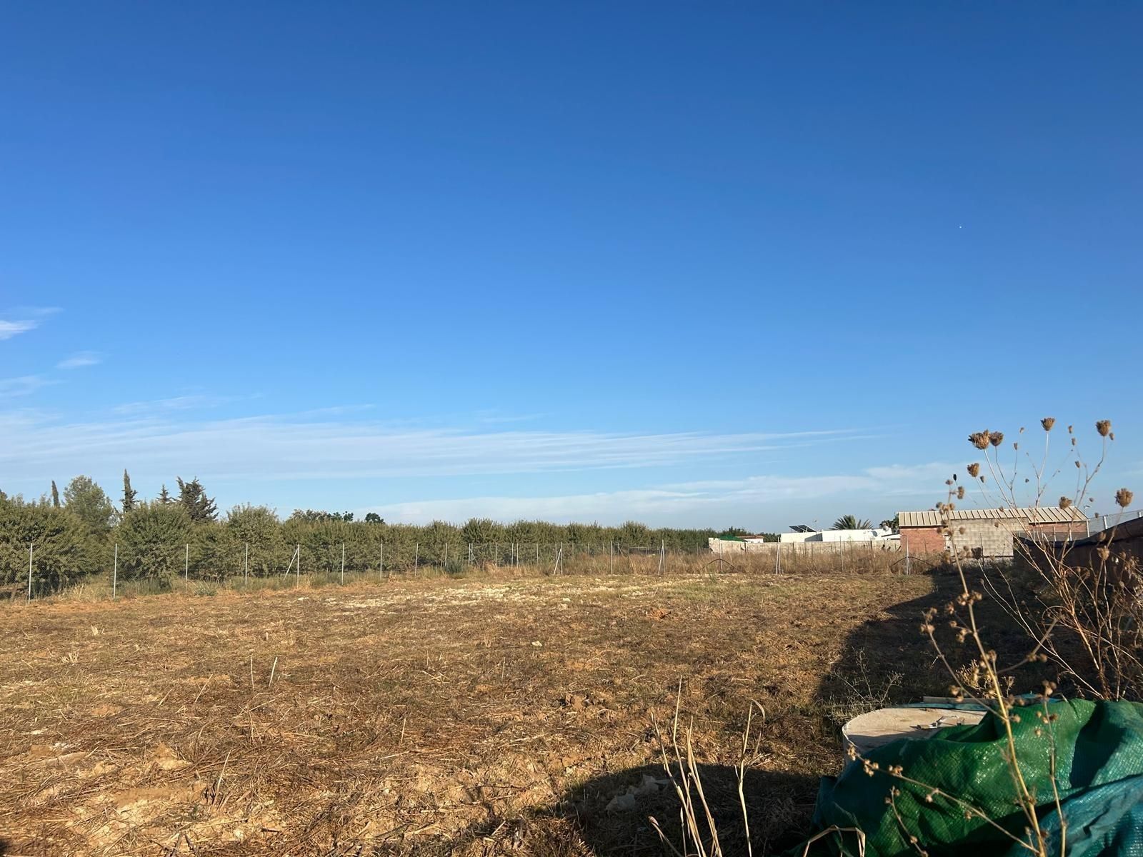 Land for sale in Los Palacios y Villafranca