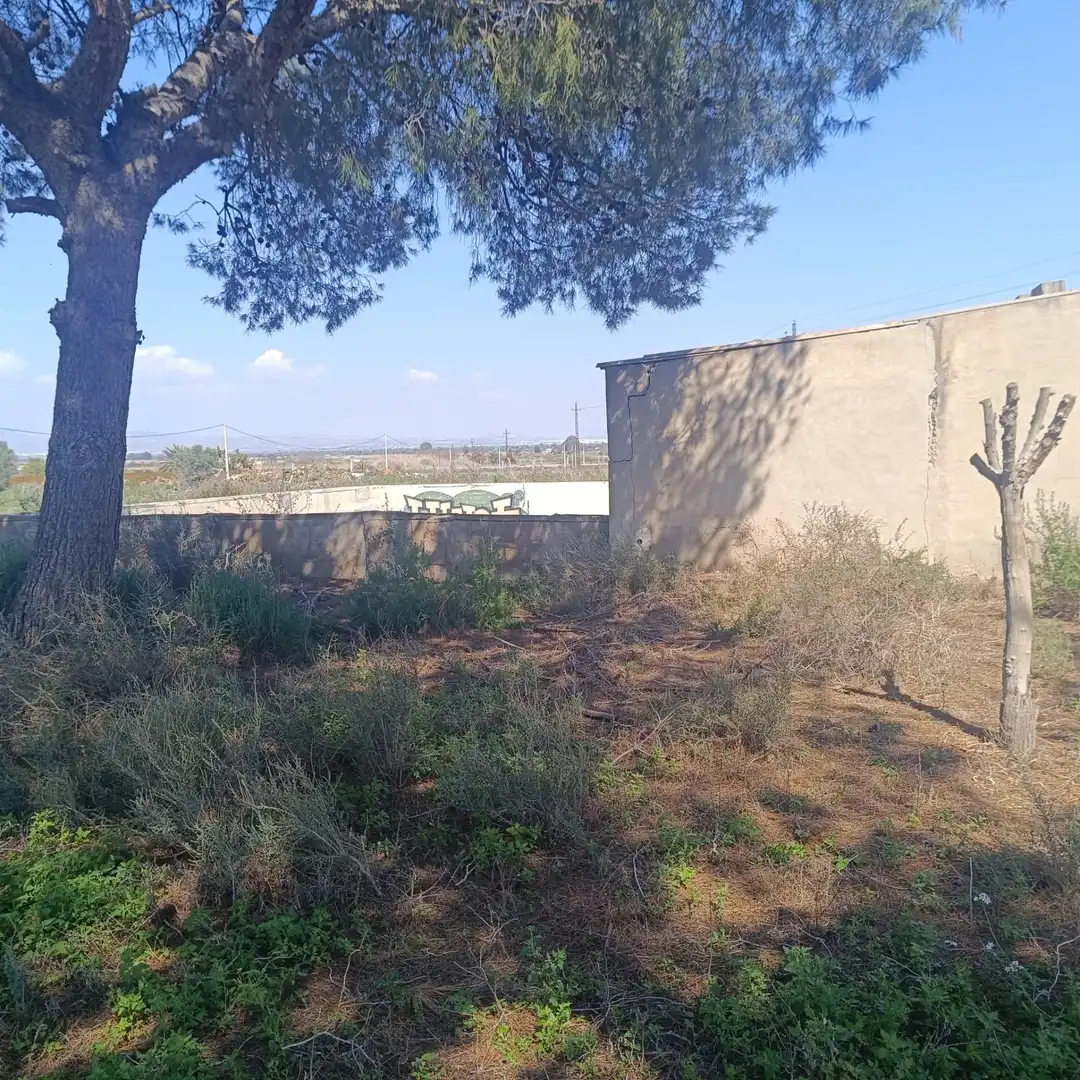 Terrain rustique à vendre à La Marina, imagen 22
