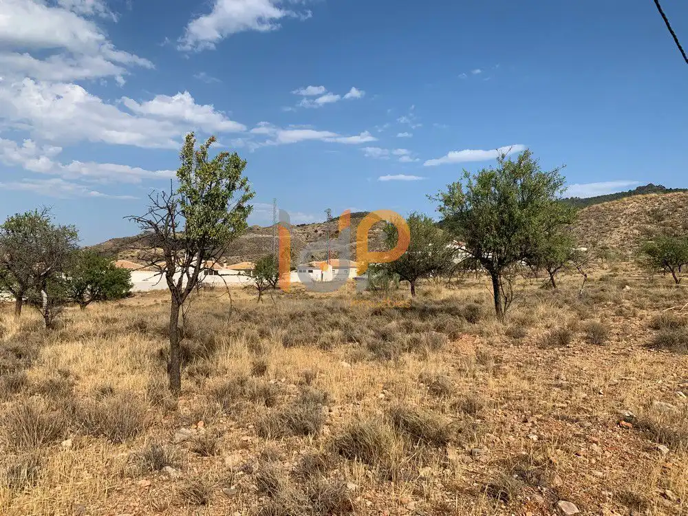 Terreny rústic en venda a Zurgena, imagen 13