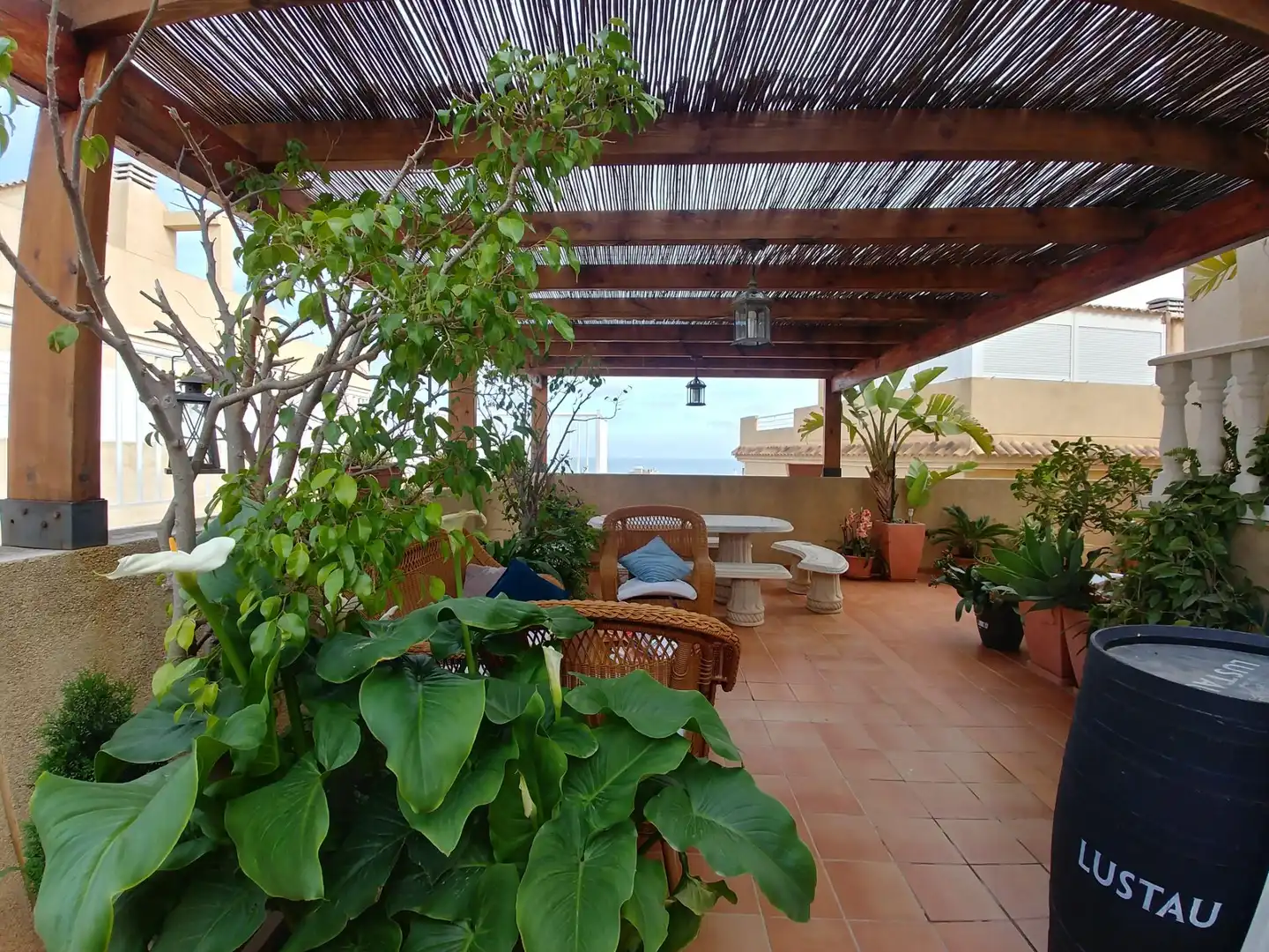 Casa o chalet de alquiler en Calas Santiago Bernabéu