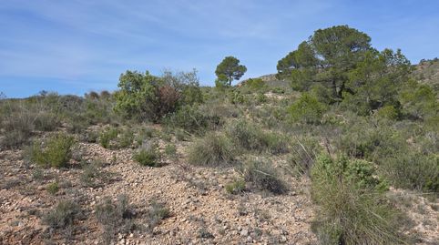 Image 2 of the listing