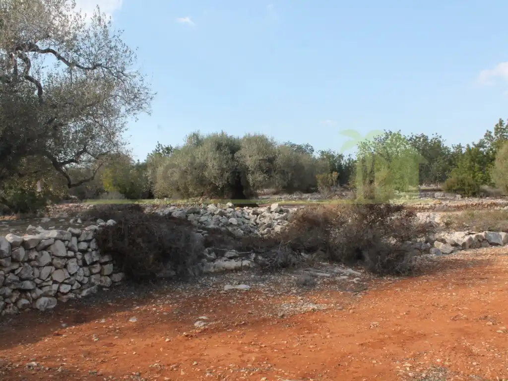 Rural land for sale in Poligono Poligono 50, imagen 3