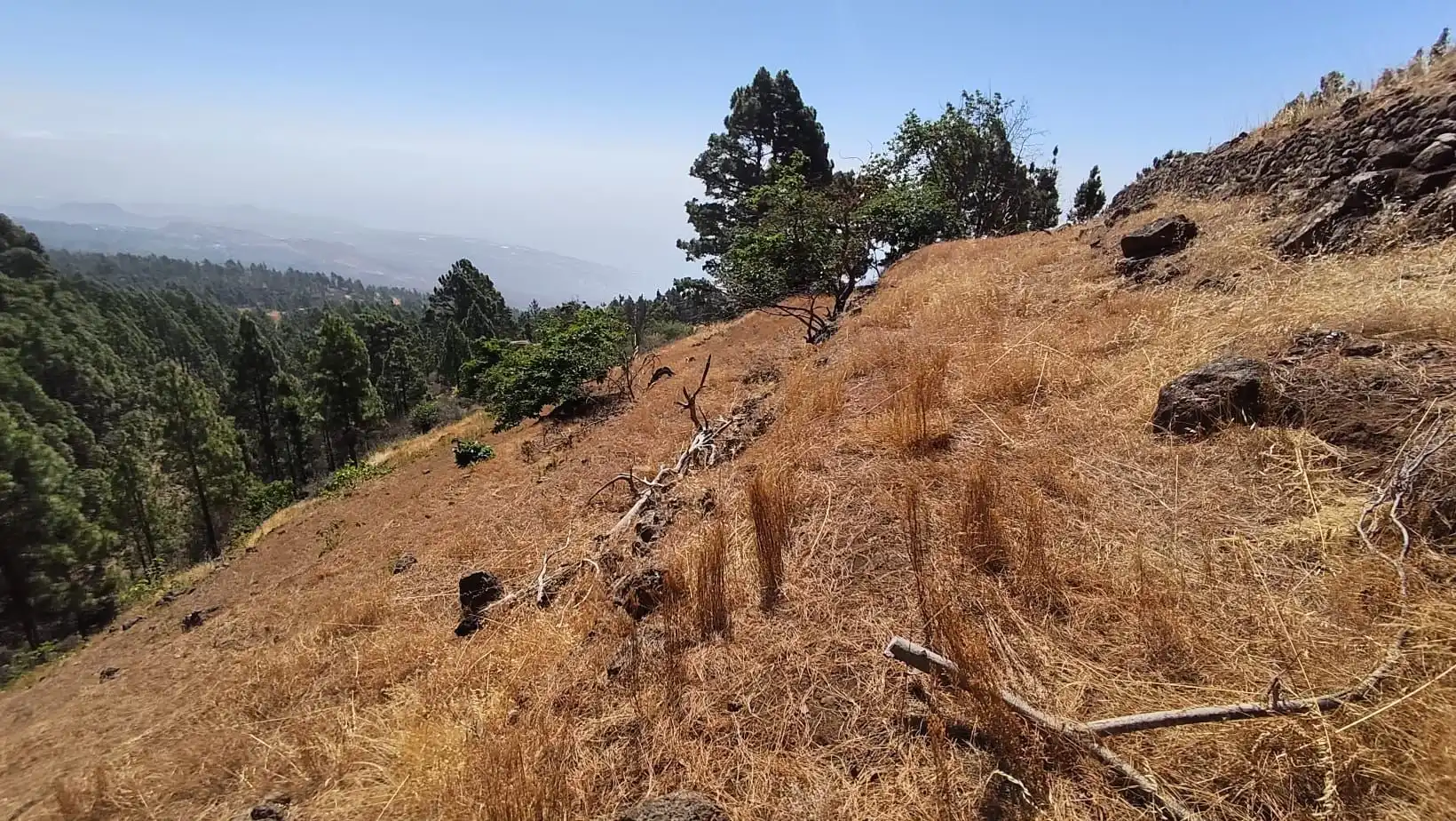 Rural land for sale in Machado - Las Barreras, imagen 5