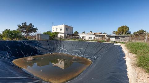 Foto 5 de Casa o chalet en venta en Avenida de Algoda, La Algoda - Matola - Llano de San José, Elche / Elx