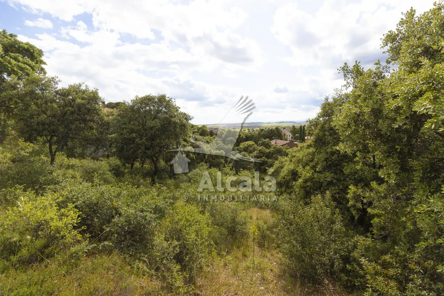 Terreno residencial en venta en Valdeaveruelo, imagen 22