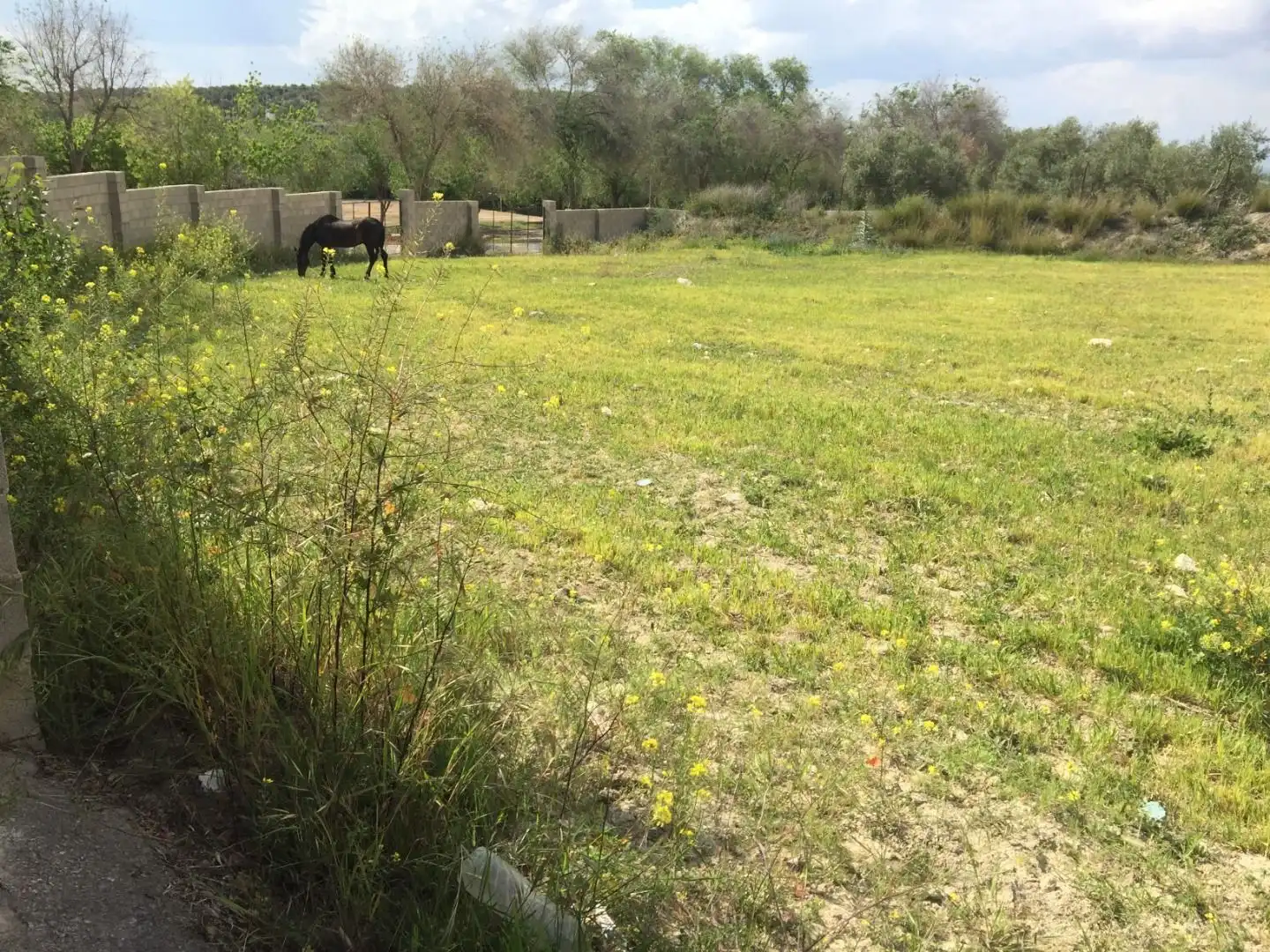 Terrenos y solares en venta en Úbeda, imagen 8